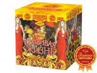 Красивая жизнь Фейерверк купить в Аксае | aksaj.salutsklad.ru