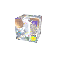 Новогодняя ночь Салют купить в Аксае | aksaj.salutsklad.ru