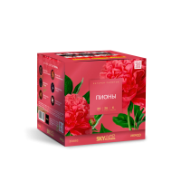 Пионы Салют купить в Аксае | aksaj.salutsklad.ru