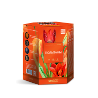 Тюльпаны Салют купить в Аксае | aksaj.salutsklad.ru
