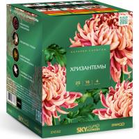 Хризантемы Фейерверк купить в Аксае | aksaj.salutsklad.ru