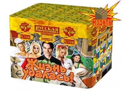 Жизнь удалась Фейерверк купить в Аксае | aksaj.salutsklad.ru