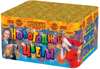 Новогодние цветы Фейерверк купить в Аксае | aksaj.salutsklad.ru