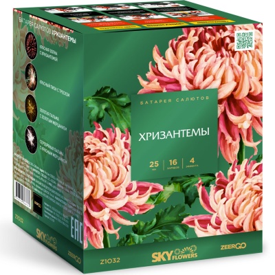 Хризантемы Фейерверк купить в Аксае | aksaj.salutsklad.ru