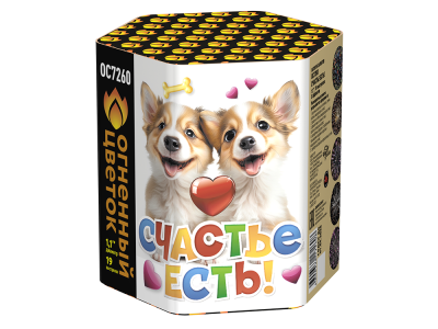 Счастье есть! Салют купить в Аксае | aksaj.salutsklad.ru